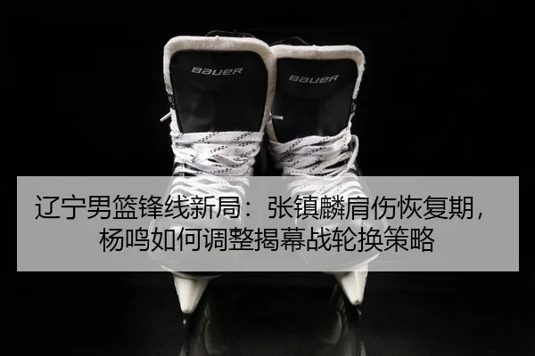 liao-ning-nan-lan-feng-xian-xin-ju-zhang-zhen-lin-jian-shang-hui-fu-qi-yang-ming-ru-he-tiao-zheng-jie-mu-zhan-lun-huan-2-690.jpg